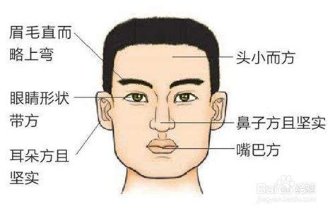 木型人顏色|【木型人】木型人的面相特徵、判斷法和注意事項，一。